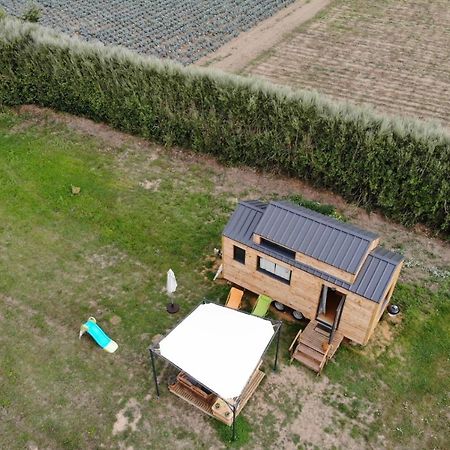Hotel Tiny House Sur La Presqu'Ile Sauvage Lanmodez Exteriér fotografie